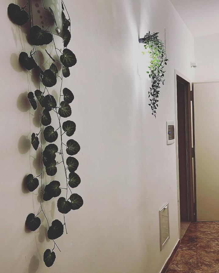 Esperanto B&B Bari Eksteriør billede