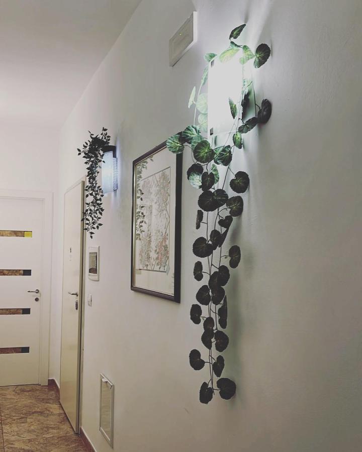 Esperanto B&B Bari Eksteriør billede